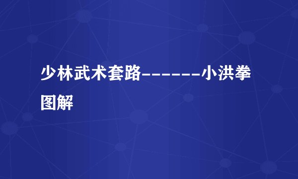 少林武术套路------小洪拳图解