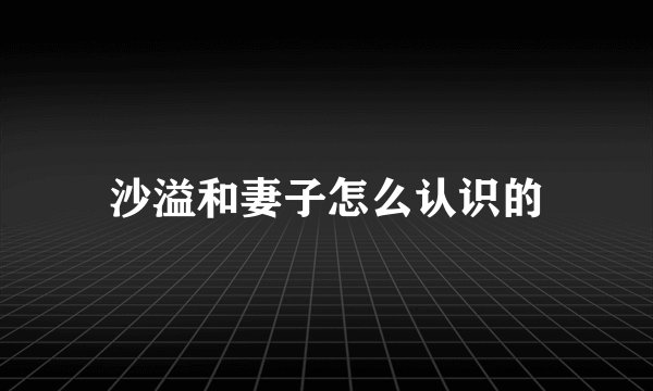 沙溢和妻子怎么认识的
