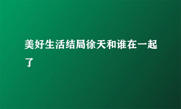 美好生活结局徐天和谁在一起了