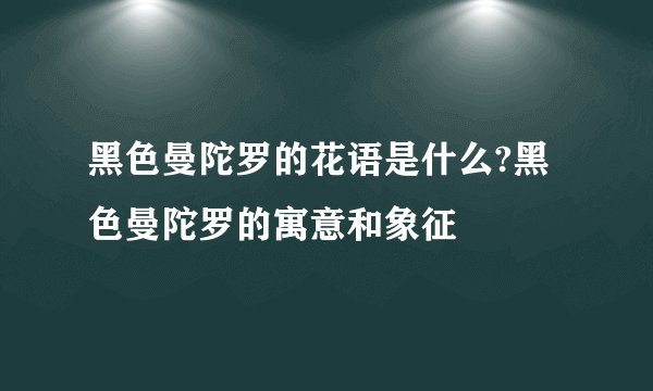 黑色曼陀罗的花语是什么?黑色曼陀罗的寓意和象征