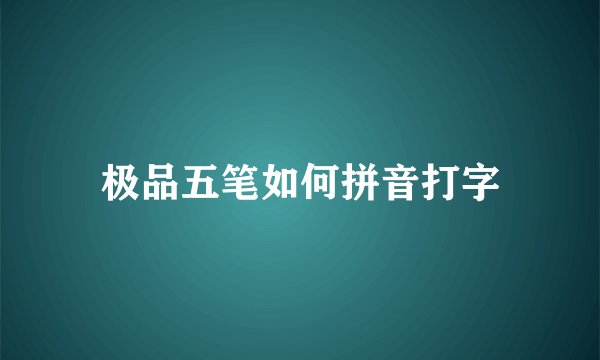 极品五笔如何拼音打字