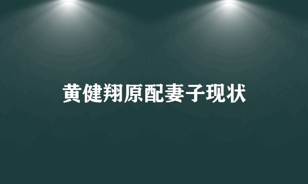 黄健翔原配妻子现状