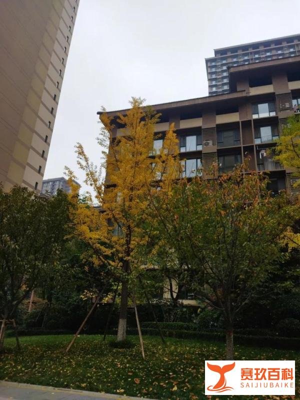 为啥不要给别人建议？