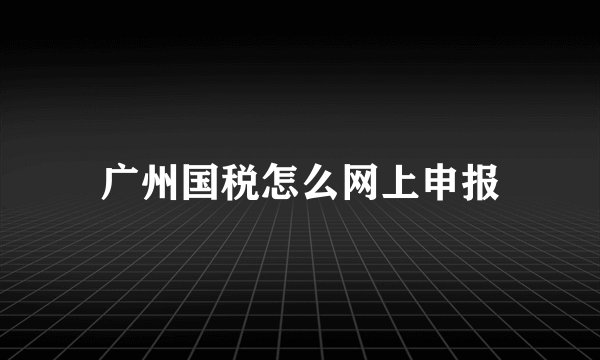广州国税怎么网上申报