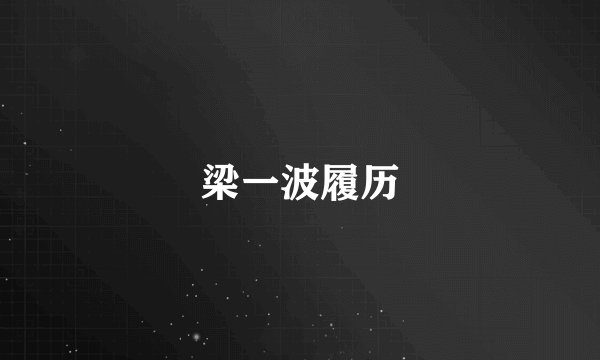 梁一波履历