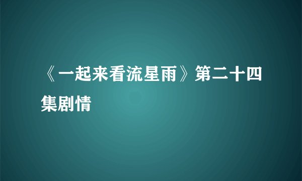 《一起来看流星雨》第二十四集剧情