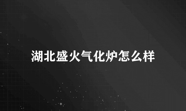 湖北盛火气化炉怎么样