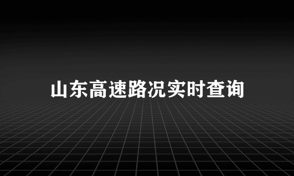 山东高速路况实时查询