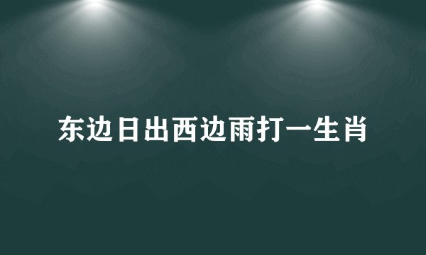 东边日出西边雨打一生肖