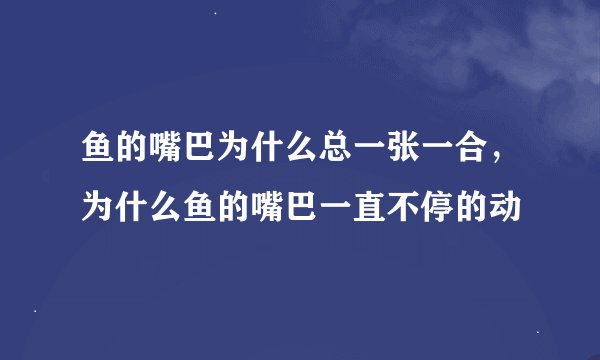 鱼的嘴巴为什么总一张一合，为什么鱼的嘴巴一直不停的动
