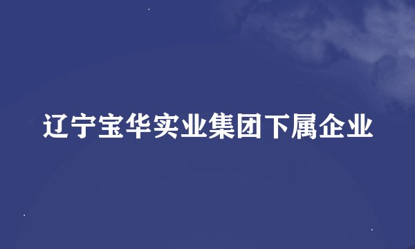 辽宁宝华实业集团下属企业
