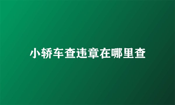 小轿车查违章在哪里查