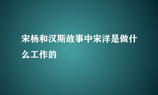 宋杨和汉斯故事中宋洋是做什么工作的