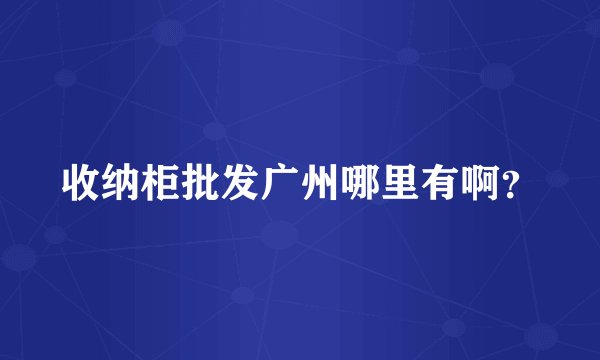 收纳柜批发广州哪里有啊？