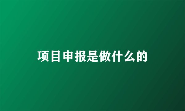 项目申报是做什么的