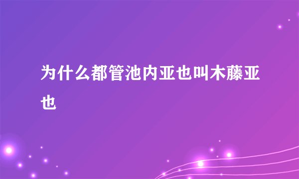 为什么都管池内亚也叫木藤亚也