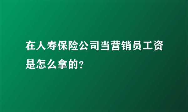 在人寿保险公司当营销员工资是怎么拿的？