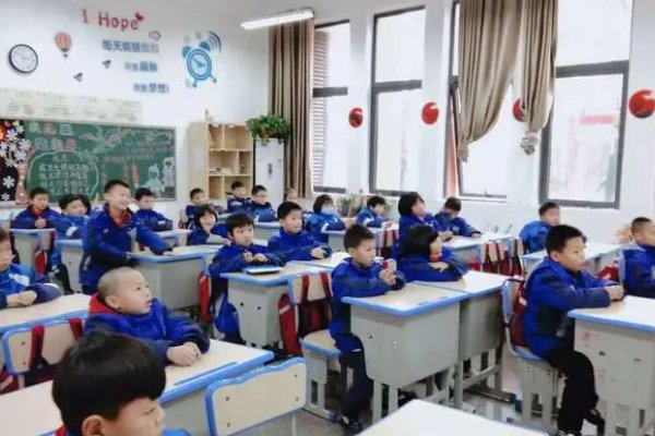 钻皮出羽意思