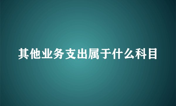 其他业务支出属于什么科目