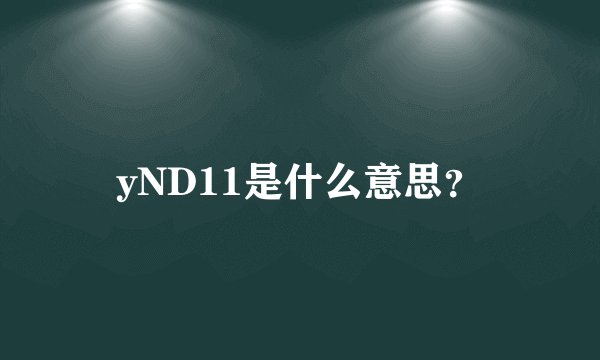 yND11是什么意思？