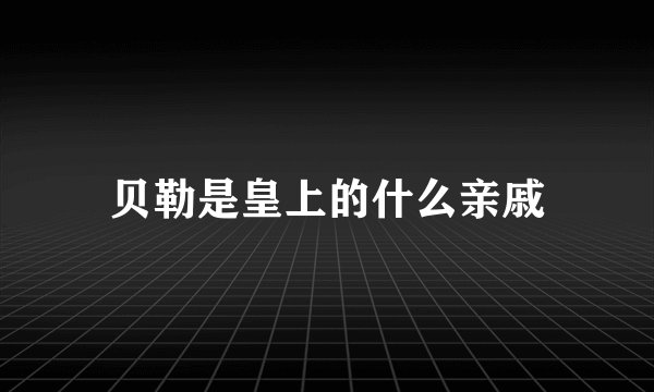 贝勒是皇上的什么亲戚