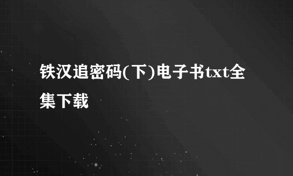 铁汉追密码(下)电子书txt全集下载