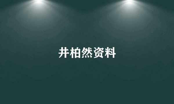 井柏然资料