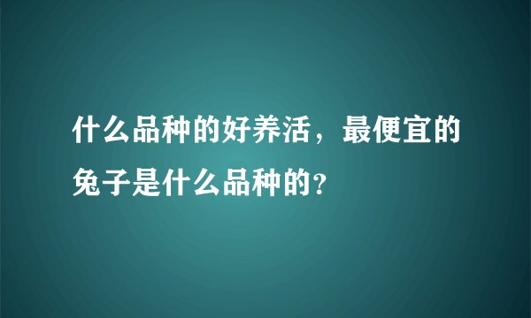 什么品种的好养活，最便宜的兔子是什么品种的？