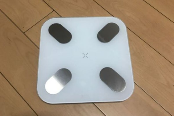 电子秤十大名牌排名