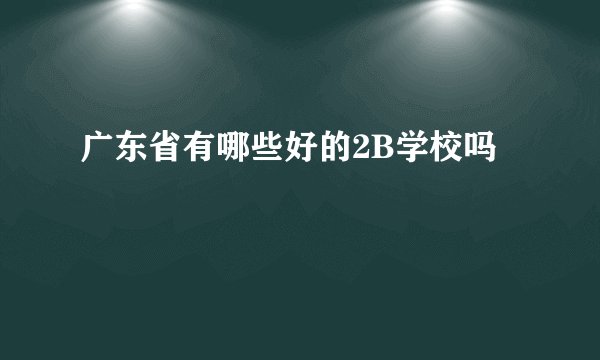 广东省有哪些好的2B学校吗