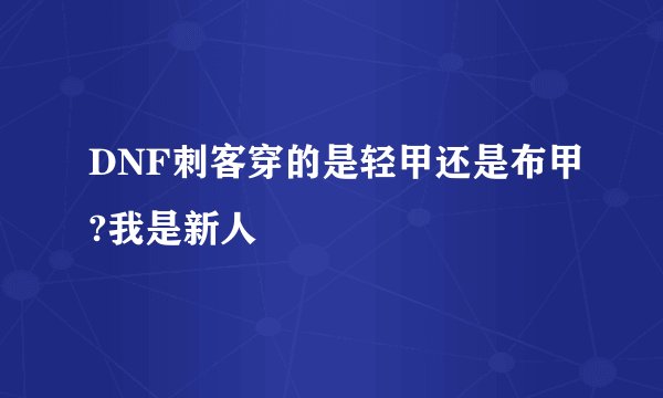 DNF刺客穿的是轻甲还是布甲?我是新人