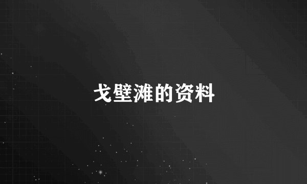 戈壁滩的资料