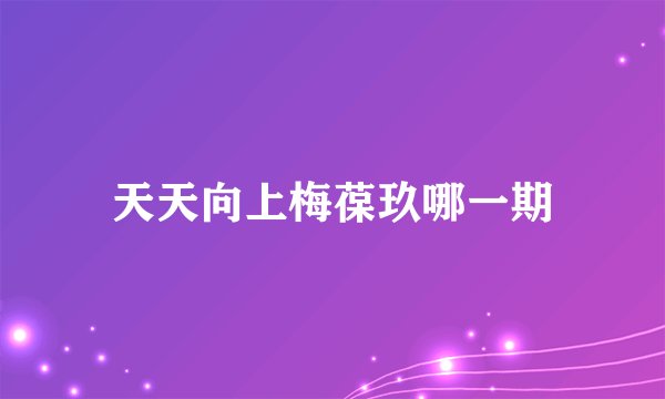 天天向上梅葆玖哪一期