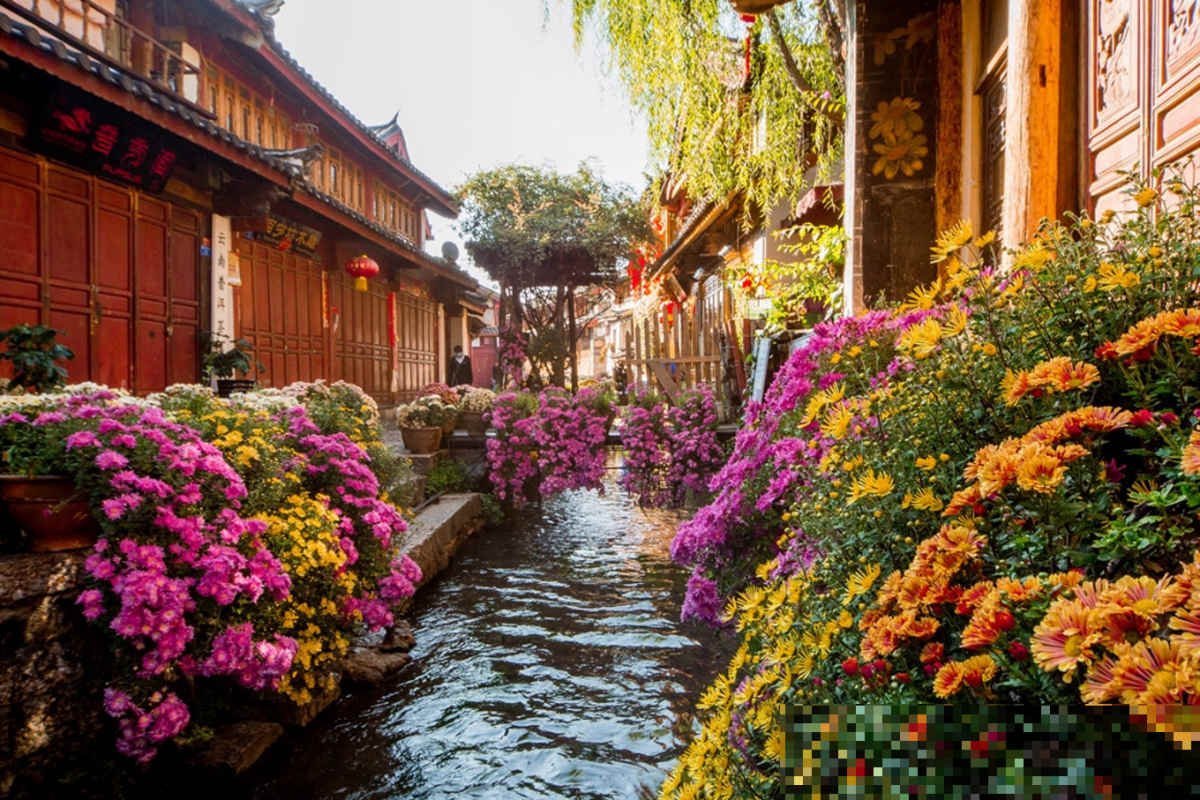 丽江到泸沽湖多少公里路