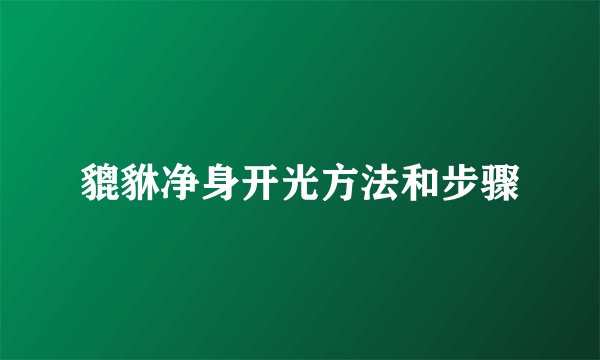 貔貅净身开光方法和步骤