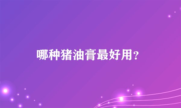 哪种猪油膏最好用？