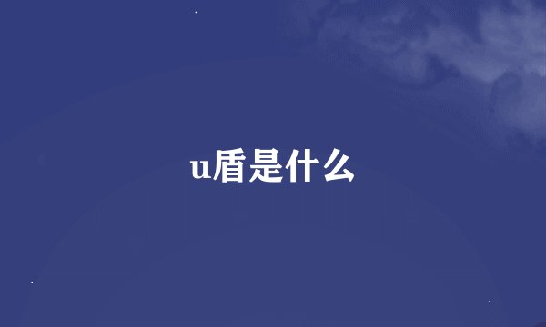 u盾是什么