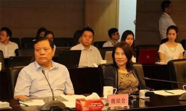 银隆新能源金窟变魔窟?前高管出逃、落网 董明珠会否再出手