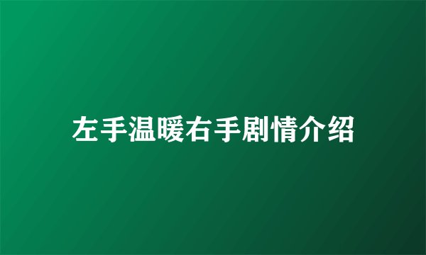 左手温暖右手剧情介绍