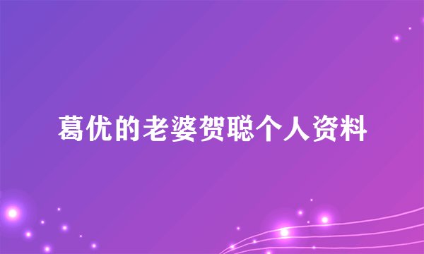 葛优的老婆贺聪个人资料