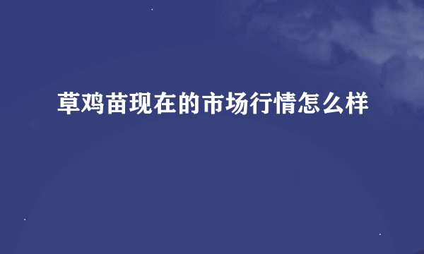草鸡苗现在的市场行情怎么样
