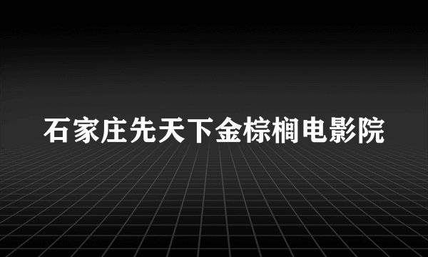 石家庄先天下金棕榈电影院