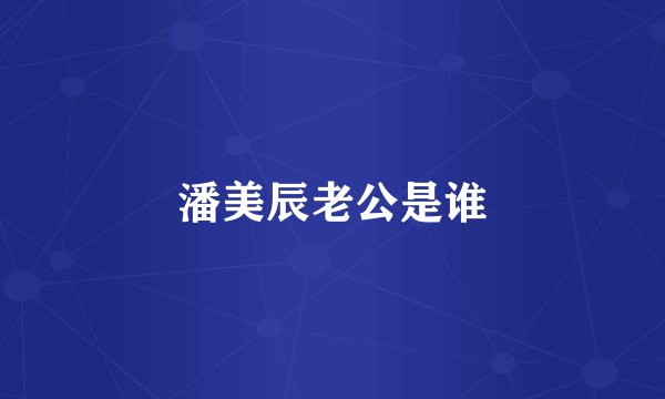潘美辰老公是谁