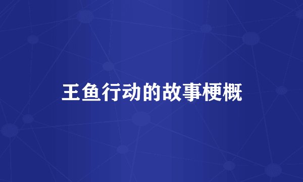 王鱼行动的故事梗概
