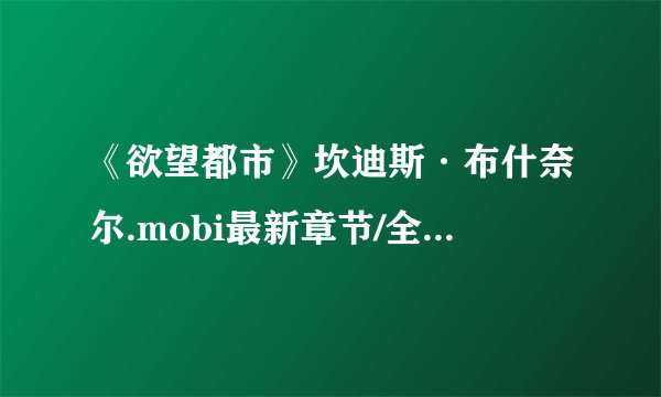 《欲望都市》坎迪斯·布什奈尔.mobi最新章节/全集txt免费下载