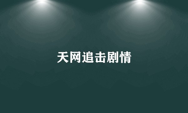 天网追击剧情