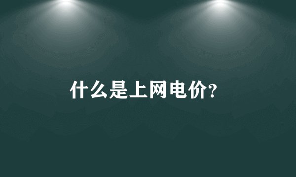 什么是上网电价？