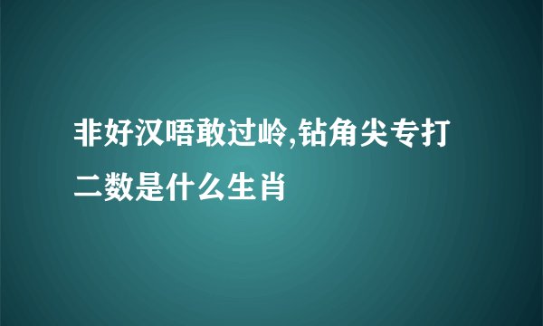 非好汉唔敢过岭,钻角尖专打二数是什么生肖