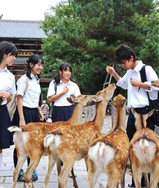 说说奈良时代