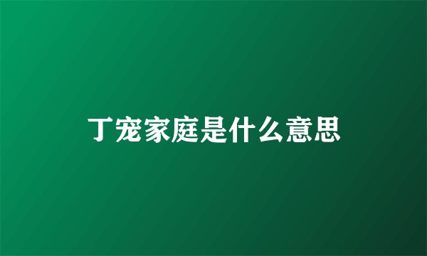 丁宠家庭是什么意思